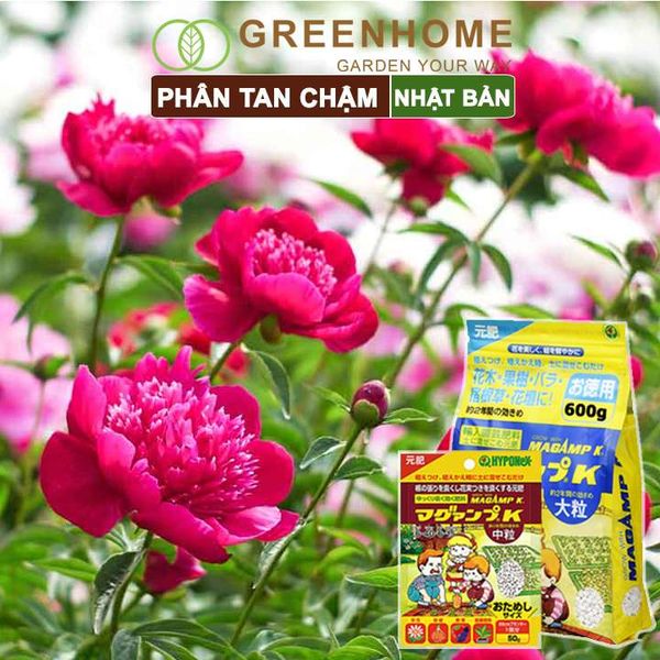 Phân tan chậm Nhật, Hyponex, Magamp K 640-6-15, bao 600gr giúp rễ khoẻ, hoa nhiều, bông to, đậu quả tốt |Greenhome