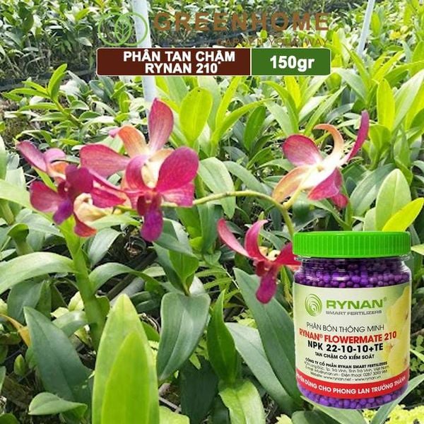 Phân tan chậm Rynan 210