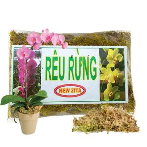 Rêu rừng Newzita, Gói 100gr, Đã Qua Xử Lý, Giá Thể, Giữ Ẩm Tốt, Kháng Khuẩn Tự Nhiên, Trồng Lan, Kiểng Lá
