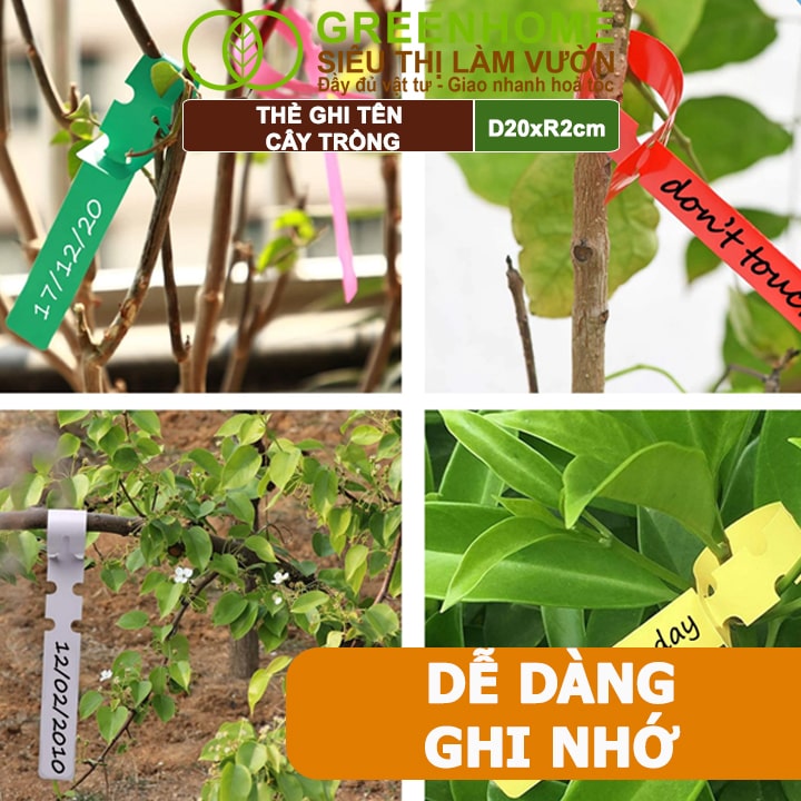 Thẻ Ghi Tên Cây, D20xR2cm, Chất Liệu Nhựa PVC, Dễ Lắp Đặt, Tái Sử Dụng, Đánh Dấu Cây Trồng, Hạt Giống Rau, Hoa