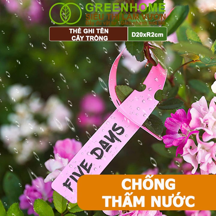 Thẻ Ghi Tên Cây, D20xR2cm, Chất Liệu Nhựa PVC, Dễ Lắp Đặt, Tái Sử Dụng, Đánh Dấu Cây Trồng, Hạt Giống Rau, Hoa