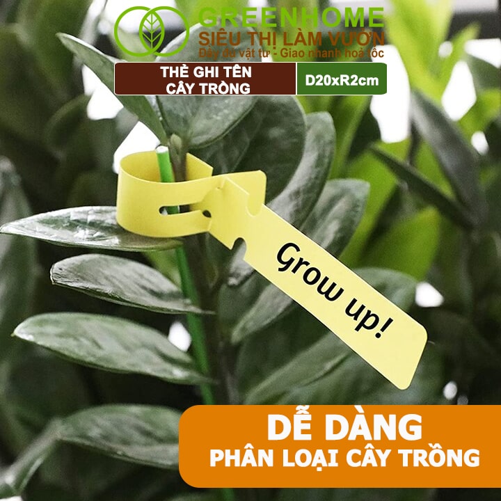 Thẻ Ghi Tên Cây, D20xR2cm, Chất Liệu Nhựa PVC, Dễ Lắp Đặt, Tái Sử Dụng, Đánh Dấu Cây Trồng, Hạt Giống Rau, Hoa