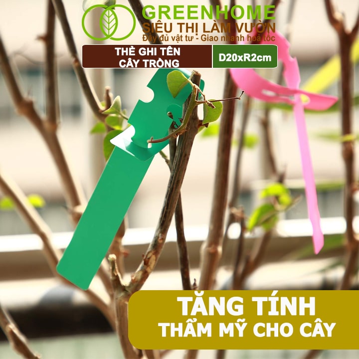 Thẻ Ghi Tên Cây, D20xR2cm, Chất Liệu Nhựa PVC, Dễ Lắp Đặt, Tái Sử Dụng, Đánh Dấu Cây Trồng, Hạt Giống Rau, Hoa