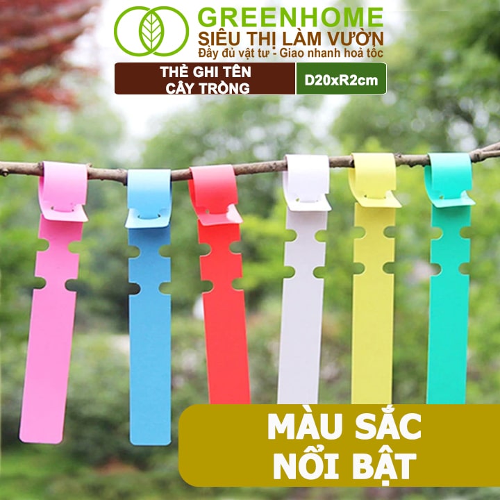 Thẻ Ghi Tên Cây, D20xR2cm, Chất Liệu Nhựa PVC, Dễ Lắp Đặt, Tái Sử Dụng, Đánh Dấu Cây Trồng, Hạt Giống Rau, Hoa