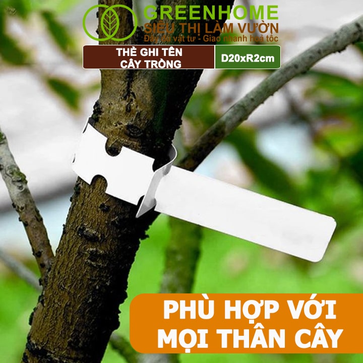 Thẻ Ghi Tên Cây, D20xR2cm, Chất Liệu Nhựa PVC, Dễ Lắp Đặt, Tái Sử Dụng, Đánh Dấu Cây Trồng, Hạt Giống Rau, Hoa