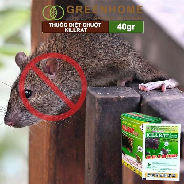 Thuốc diệt chuột Killrat, bao 40gr, thế hệ mới, hiệu quả, diệt cả đàn