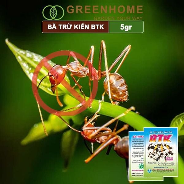 Thuốc diện kiến tận ổ BTK, gói 5gr, hiệu quả cao, dễ sử dụng, tác dụng lâu dài
