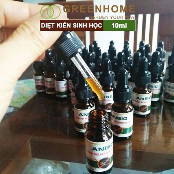 Thuốc diệt kiến sinh học Anbio