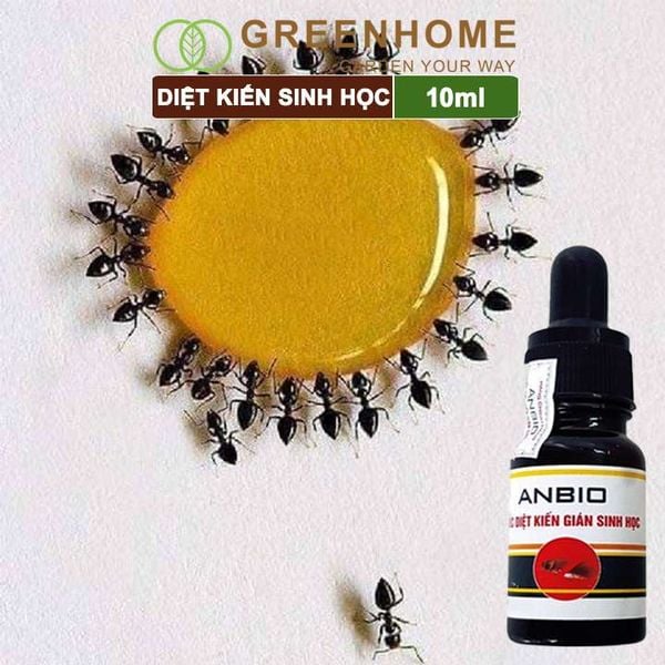 Thuốc diệt kiến sinh học Anbio