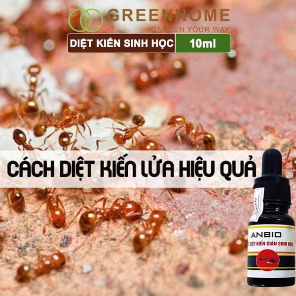 Thuốc diệt kiến sinh học Anbio