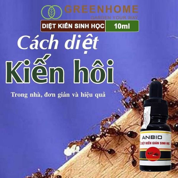 Thuốc diệt kiến sinh học Anbio