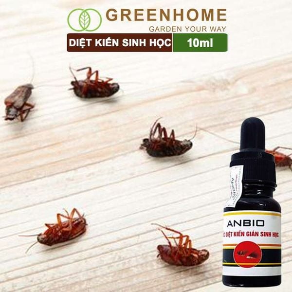 Thuốc diệt kiến sinh học Anbio