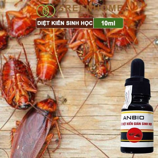 Thuốc diệt kiến sinh học Anbio