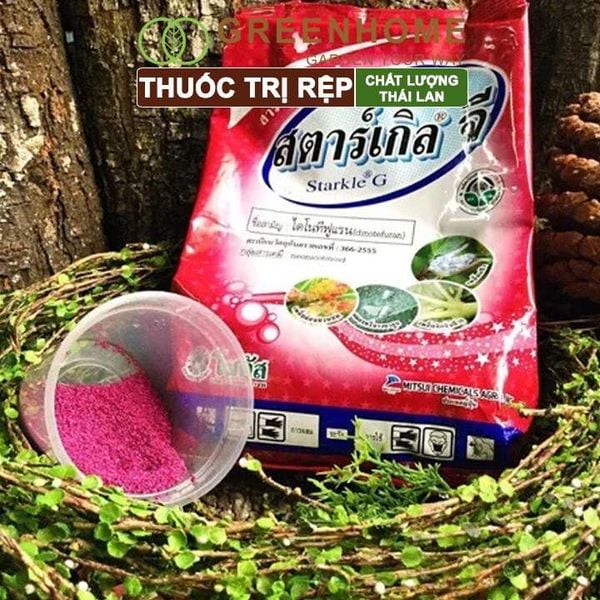 Thuốc tím trị rệp Starkle-G, lưu dẫn, an toàn, hiệu quả, dùng cho sen đá, xương rồng |Greenhome