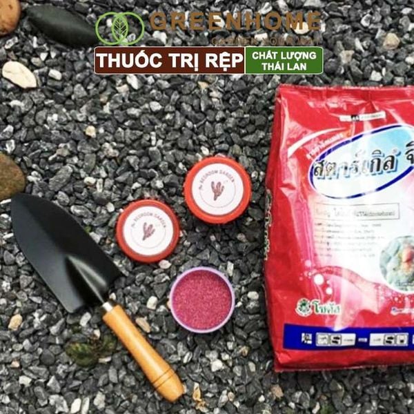 Thuốc tím trị rệp Starkle-G, lưu dẫn, an toàn, hiệu quả, dùng cho sen đá, xương rồng |Greenhome