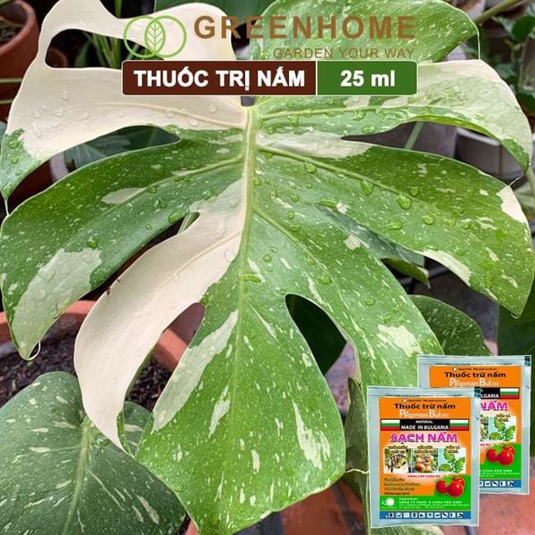 Thuốc trừ nấm Propman Bul 550sc, gói 25ml, chuyên trị Thán thư, thối nhũn, phấn trắng, rỉ sắt |Greenhome