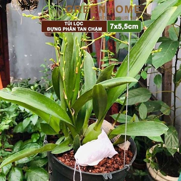 Túi lọc đựng phân tan chậm, 5,5x7cm, treo hoặc bỏ gốc tiện lợi, túi tự huỷ thân thiện môi trường |Greenhome