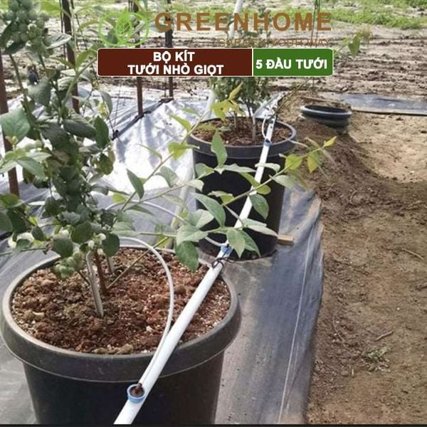 Bộ kít tưới nhỏ giọt, Greenhome. đầu tưới có bù áp, tiết kiệm lượng nước, thời gian tưới cây, dễ dàng lắp đặt