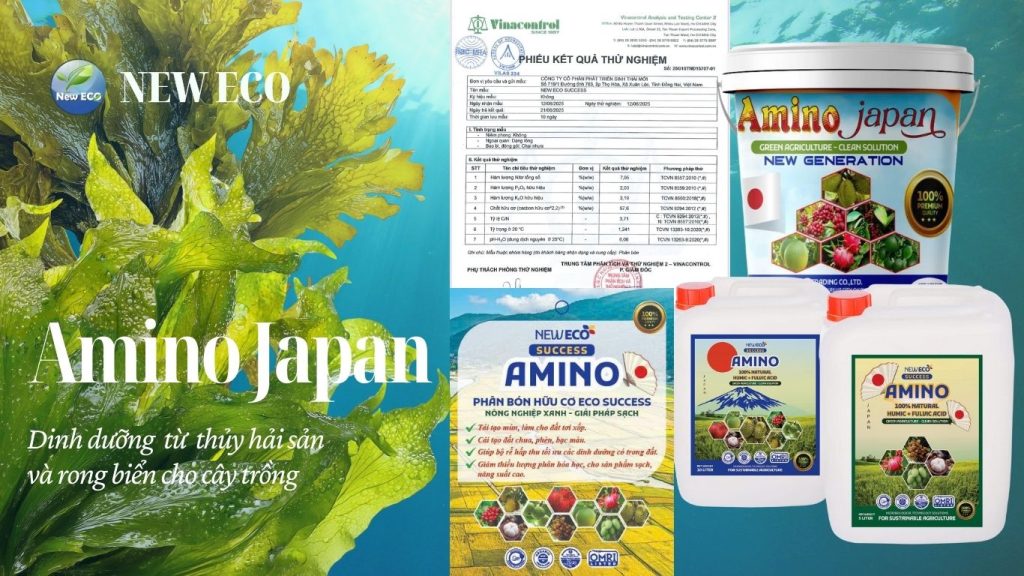 Amino Japan