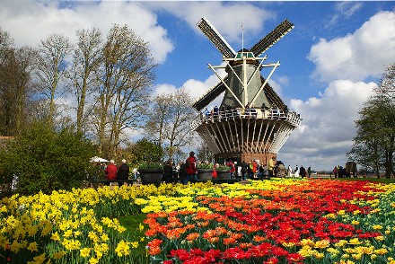 Pháp – Bỉ – Hà Lan – Đức ( Lễ Hội Hoa Keukenhof )