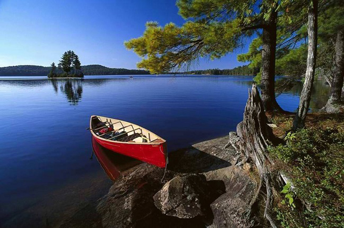 chinh-tri-canada