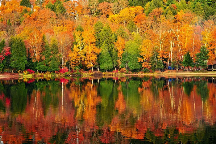 Du Lịch Canada Mùa Thu – Thời Điểm Đẹp Nhất Để Du Lịch Tới Xứ Sở Lá Phong