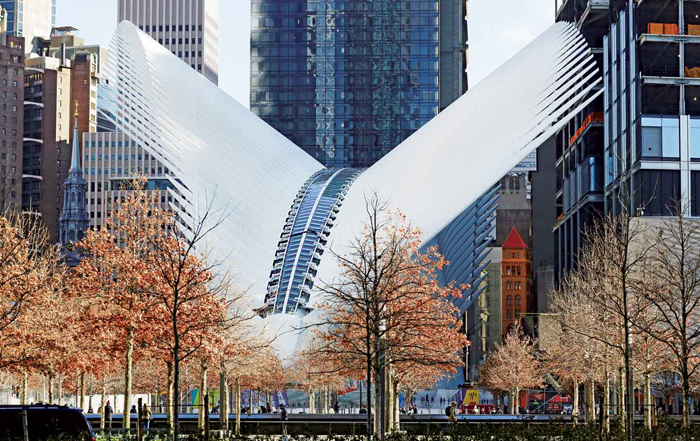Ground Zero Lặng Lẽ Trên Những Dòng Tên Lạnh