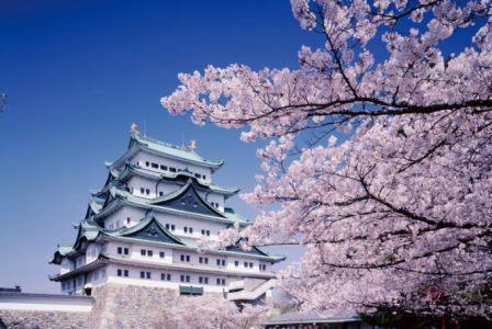 Nhật Bản Mùa Hoa Anh Đào Nagoya – Tokyo