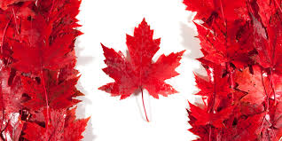 Hướng Dẫn Chọn Khách Sạn Và Món Ăn Khi Du Lịch Canada
