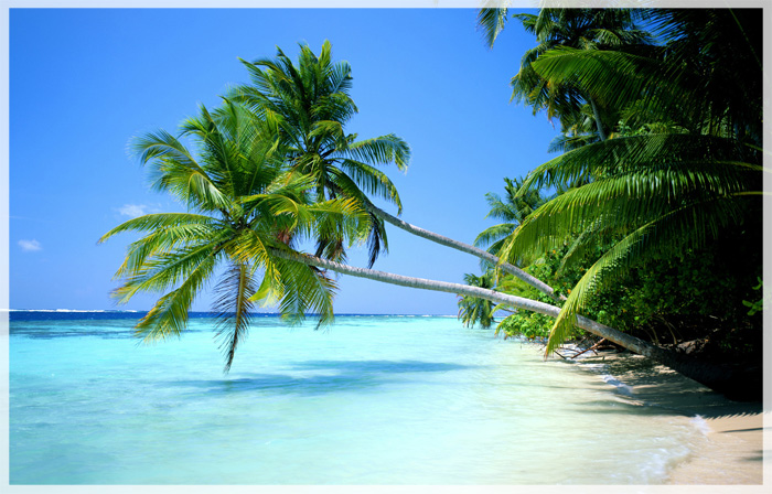 10-tieu-bang-long-lay-nhat-nuoc-my-Hawaii