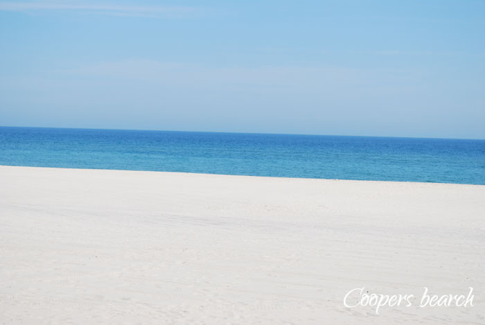 4 Bãi Biển Tuyệt Đẹp Không Thể Bỏ Qua Khi Đi Du Lịch Mỹ Mùa Hè