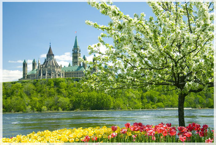 4-ly-so-de-yeu-mua-xuan-canada