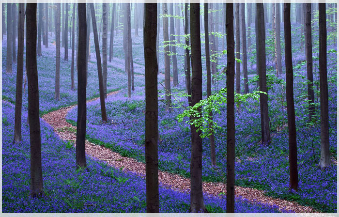 5-diem-du-lich-dau-xuan-truyen-cam-hung-cho-du-khach-03