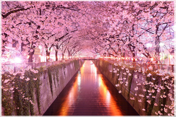 5-diem-du-lich-dau-xuan-truyen-cam-hung-cho-du-khach-03