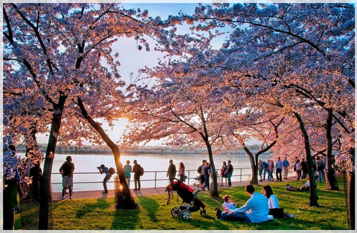 5 điểm du lịch đầu xuân truyền cảm hứng cho du khách