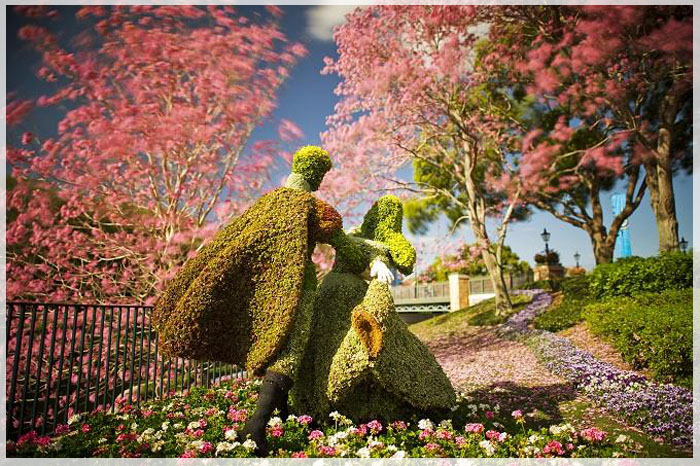 5-le-hoi-hoa-dac-sac-nuoc-my