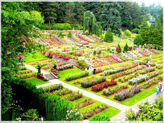 Hé Lộ 5 Lễ Hội Hoa Ở Mỹ Mà Du Khách Không Nên Bỏ Lỡ