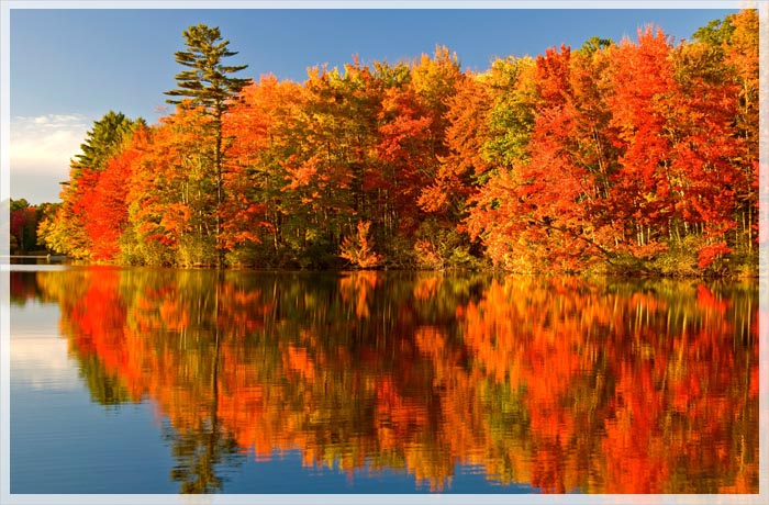 Du Lịch Canada: Đi Tìm Vần Thơ Mùa Thu