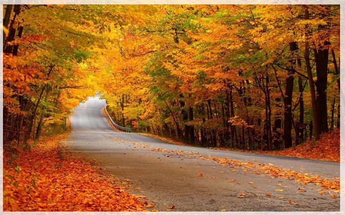 6-diem-dung-chan-ly-tuong-cho-mua-thu-canada