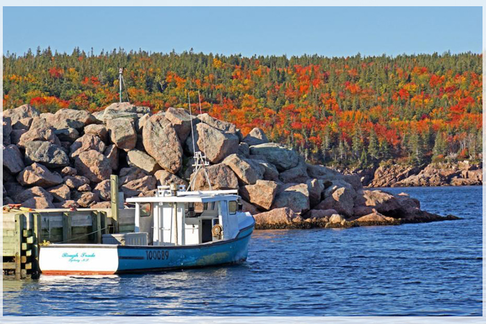 6-diem-dung-chan-ly-tuong-cho-mua-thu-canada-05