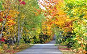 6 Lý Do Nên Du Lịch Canada Vào Mùa Thu