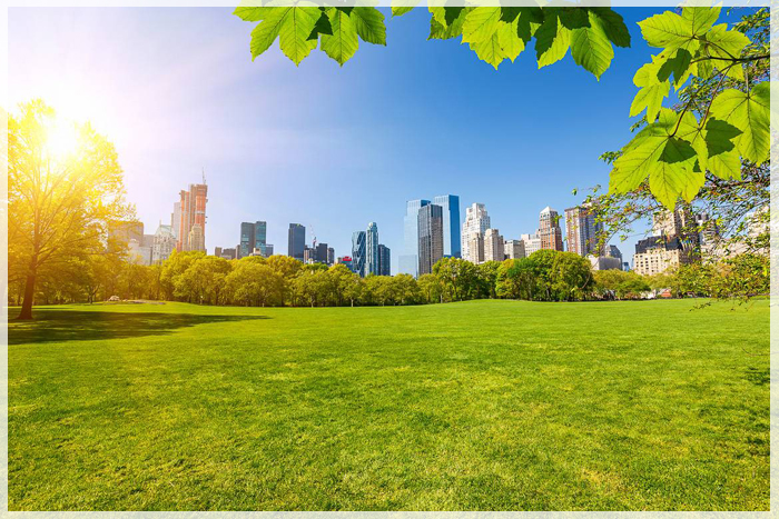 7 Trải Nghiệm Miễn Phí Khi Đi Du Lịch Mỹ Mùa Hè Tại New York