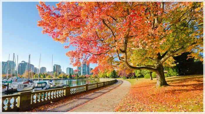 8-con-duong-mua-thu-me-man-du-khach