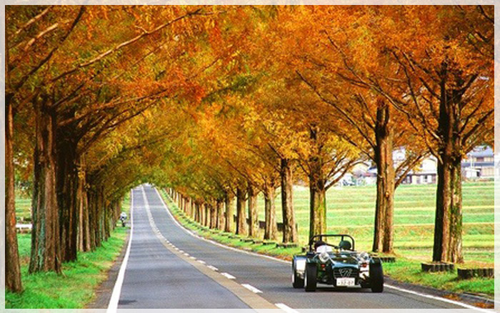 8-con-duong-mua-thu-me-man-du-khach