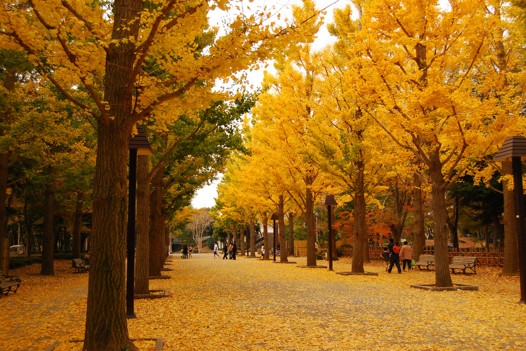 8-con-duong-mua-thu-me-man-du-khach