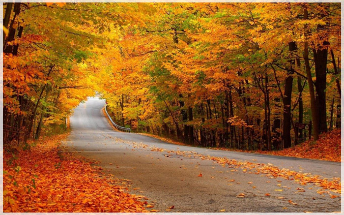 8-con-duong-mua-thu-me-man-du-khach