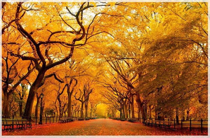 8-con-duong-mua-thu-me-man-du-khach