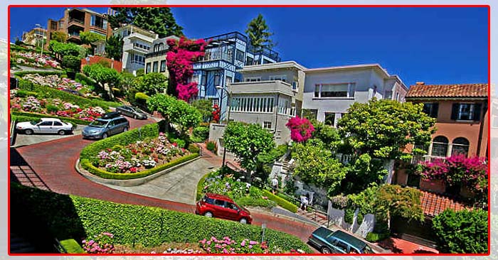 Duong-hoa-Lombard-duong-hoa-dep-tai-sanfranciso