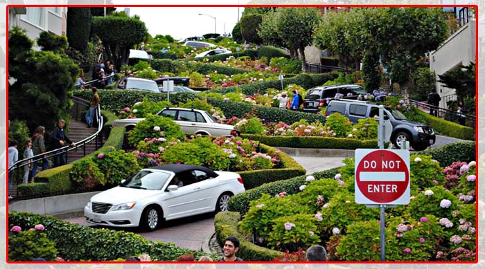 Duong-hoa-Lombard-duong-hoa-dep-tai-sanfranciso