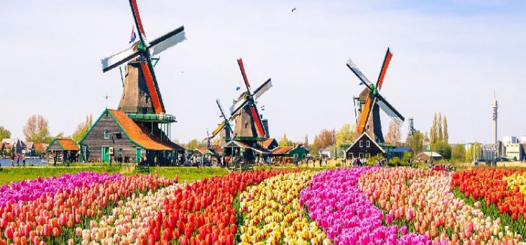 Hà Lan – Đất Nước Với Những Chiếc Cối Xay Gió